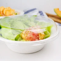 

32 OZ Unique Biodegradable Sugarcane Bagasse Salad Bowl with Lid