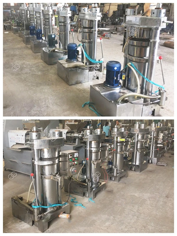 Automatic Cashew Nut Shell Moringa Peanut Oil Extraction Machine Palm