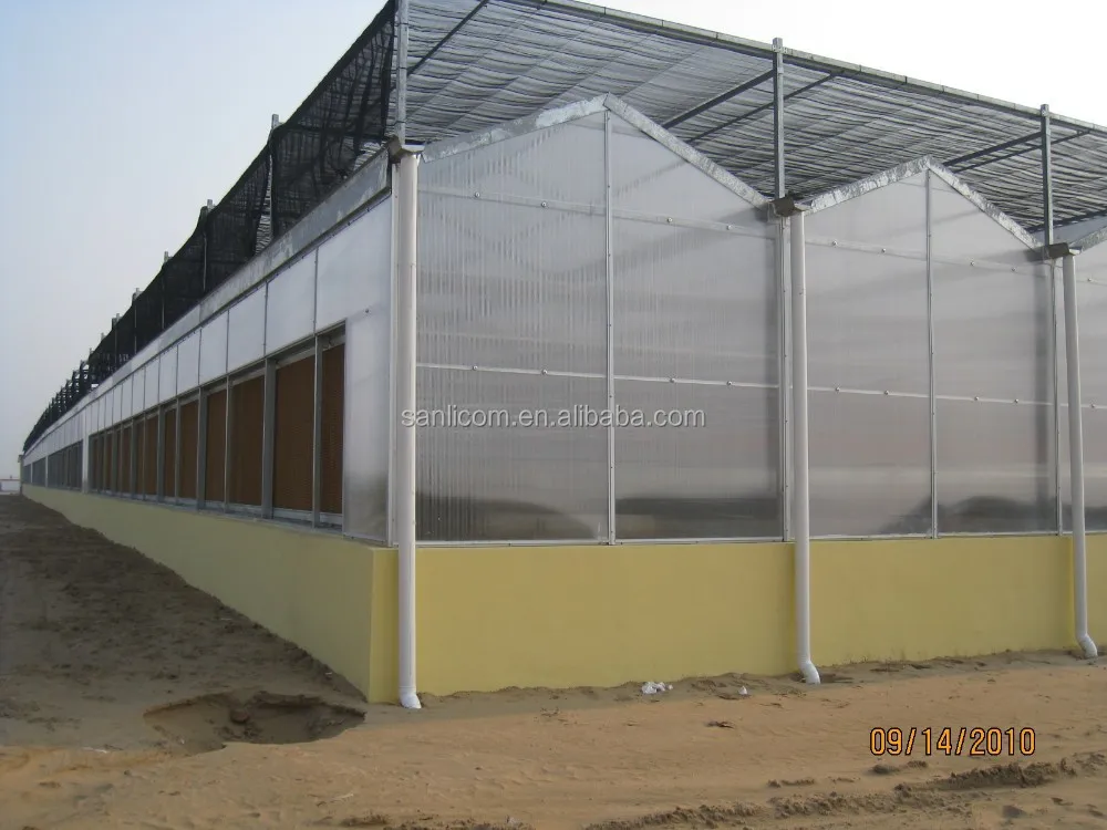 
Commercial Polycarbonate Venlo Greenhouse 