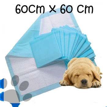 buy dog diapers