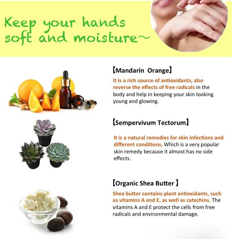 oem hand cream.jpg