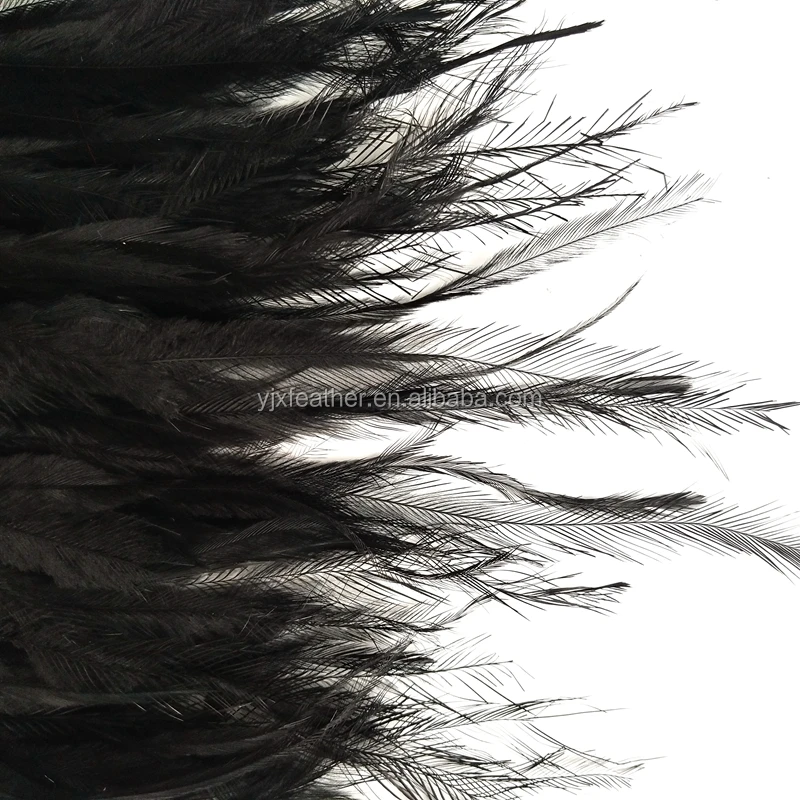 Emu Feather Trim Buy Emu Feathers,Emu,Feather Fabric Lace Product on