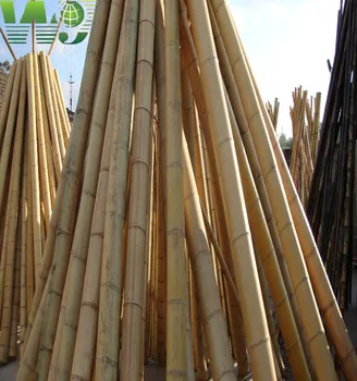 Wy T-001 Raw Tonkin Bamboo Poles,Cheap Bamboo Sticks,Bamboo Canes ...