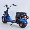high quality european fat Tire removable battery electric car off road electric scooter 3 wheel electric bicycle