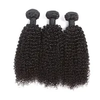 

BF Free Shipping Unprocessed 100% Human Mink Virgin Hair , Afro Kinky Curly Cuticle Aligned Raw Virgin Hair