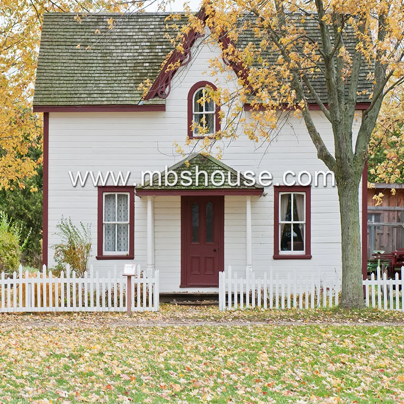 Light steel villa house (346)