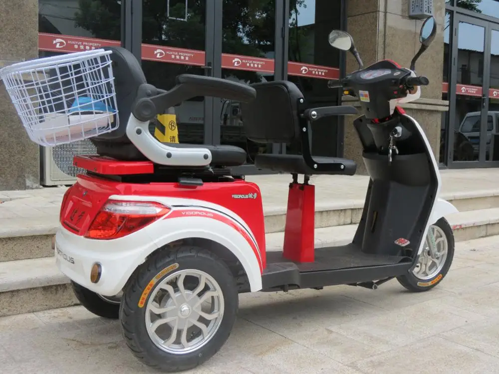 dual seat adult tricycle