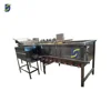 industrial strawberry washing machine