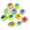 New Product Pressed Natural Real Flower Snap Buttons Charm