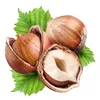 NATUREL HAZELNUTS RAW 13-15mm 14-16mm/Blanched Hazelnuts/ Hazelnuts Inshell & Kernels/ Organic Hazel Nuts