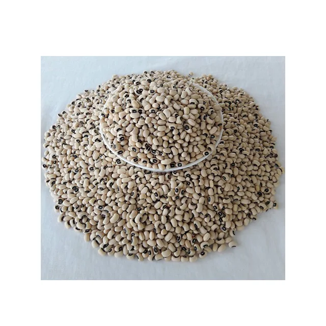 
Black eye bean MC & HPS 