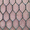 Anping low price galvanized Hexagonal wire mesh /Chicken coop wire netting manufacturer