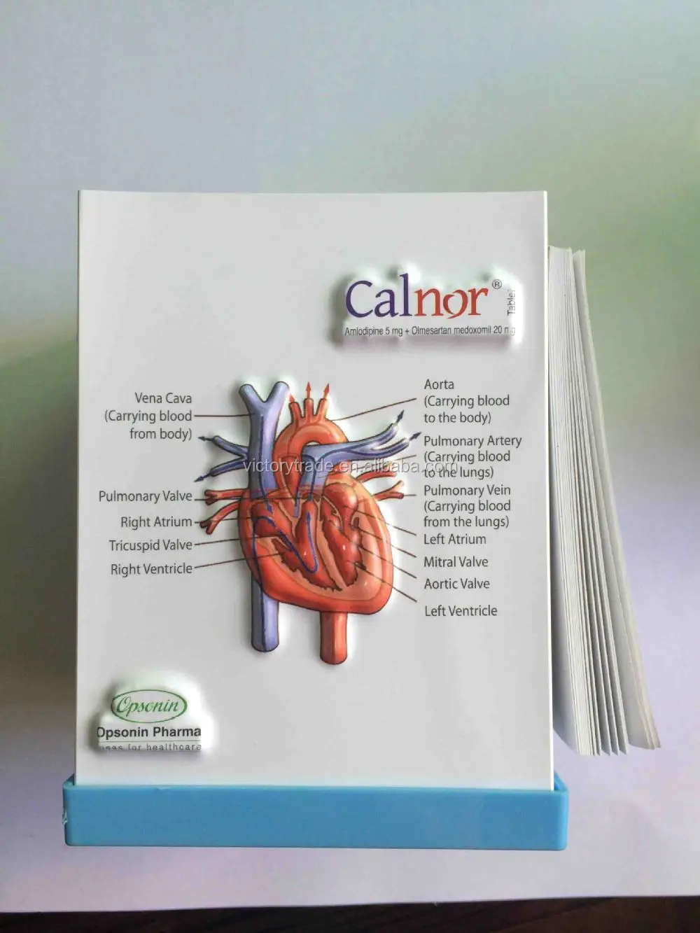 Promotional Handmade 3D Embossed Plastic Medical Doctor Desk Pen Holder With Note Pad