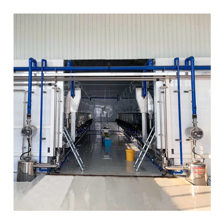 parallel manufacturer cow automatic sheep goat milking parlor machine equipment for big farm