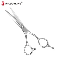 

Stainless Steel Cheap Professional Hairdressing Hair Scissors Shears