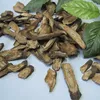 hot sales dried burdock root where to buy chinese herbs