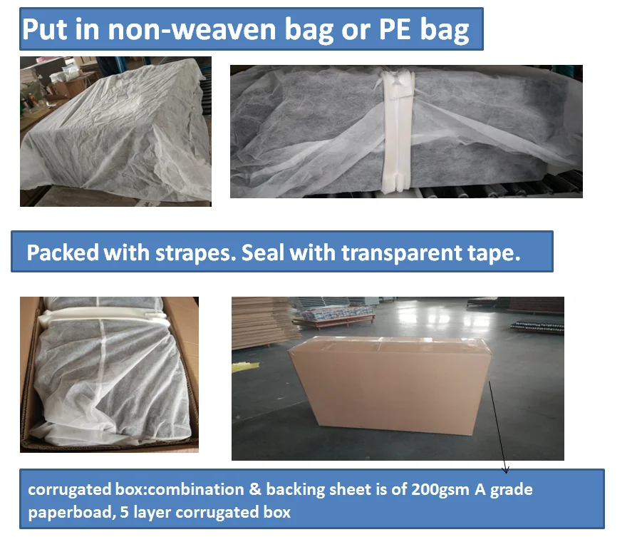 paste-pic-dp_uuid_6a6n4