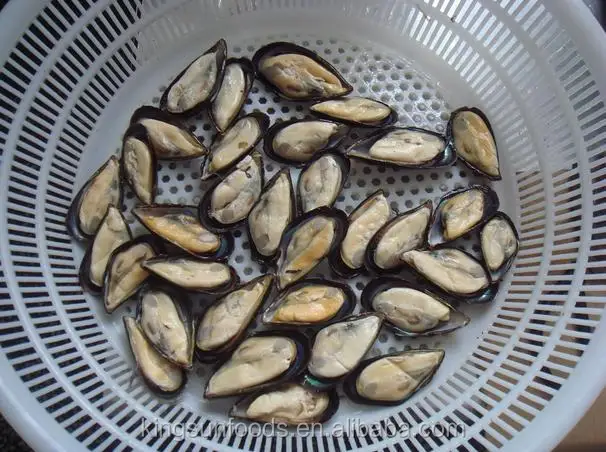 MUSSEL99.jpg