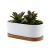 Ceramic White Modern Oval Design Succulent Plant Pot