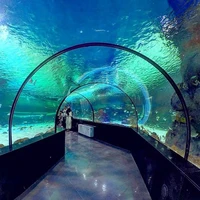 

PG Plastic Transparent Acrylic Tunnel Aquarium FishTank