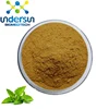 Factory supply 100% Natural Mint Extract