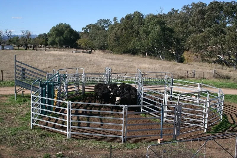 Round Pen Cattle Panels Cattle Yard Portable Livestock Panels - Buy ...