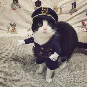 Image of China OEM Factory Cheap Wholesale High Quality Puppy Large Dog Cat Pet Cosplay Costumes Clothes for Clothing Dropshipping