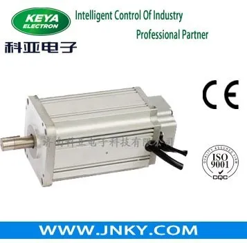 Hot brushless dc electrical motor 750w, brushless dc electrical motor 48v