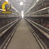 /product-detail/jinmuren-poultry-farm-raw-materials-for-chicken-layer-cage-60843315372.html