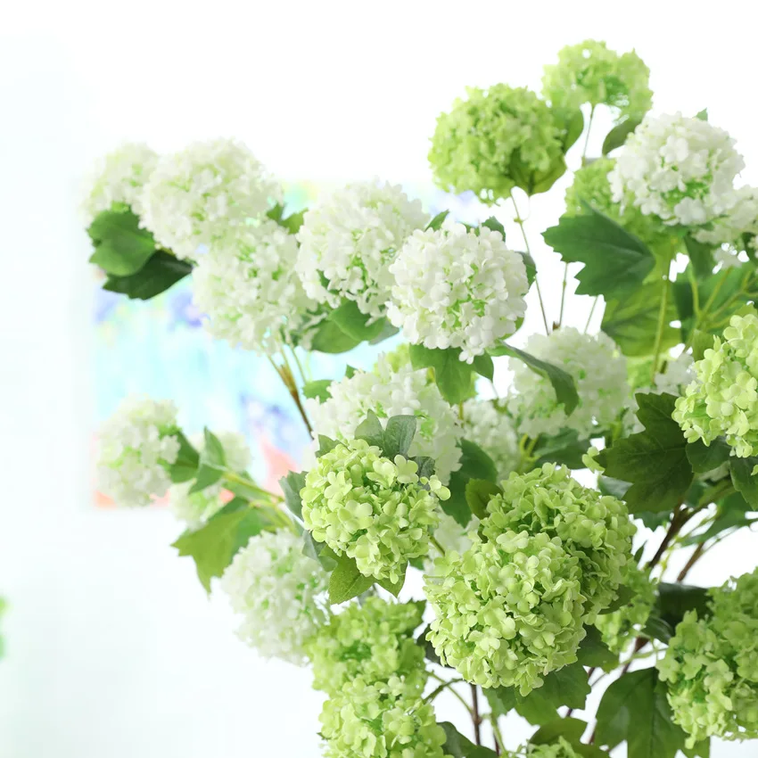 9479052963_1731087950