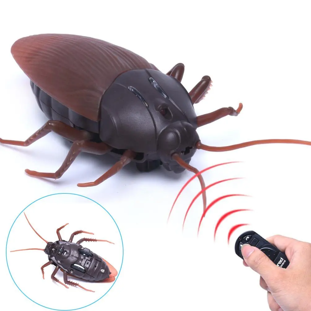 realistic fake remote control cockroach