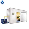 Ice cream storage freezers mobile movable cold room