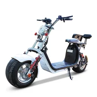 

Powerful High Speed Lithium Battery Citycoco 1500W electric scooter
