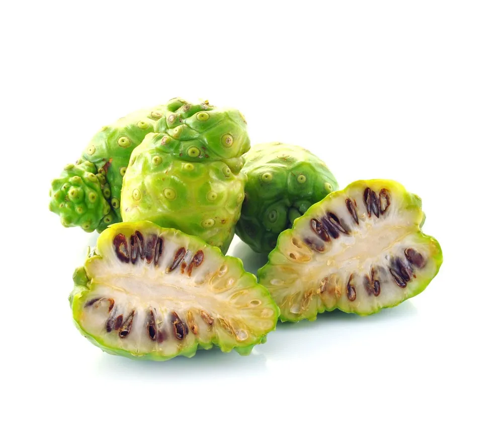 Hot Sale Fresh Noni Fruit Noni Extract Noni Buy Noni Fruits Plant