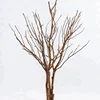 For wedding decoration dry tree coral branches dry tree branch