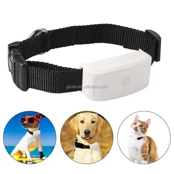 Tkstar Imperméable Tk911 Collier Pour Animaux De Compagnie Gps Tracker Pour Mini Chien Chat Animaux Pour Sûr Buy Traqueur Imperméable De Gps De