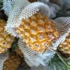 EPE fruit Foam Sleeve , Pineapple Packing Mesh , foam roller sleeve net espuma
