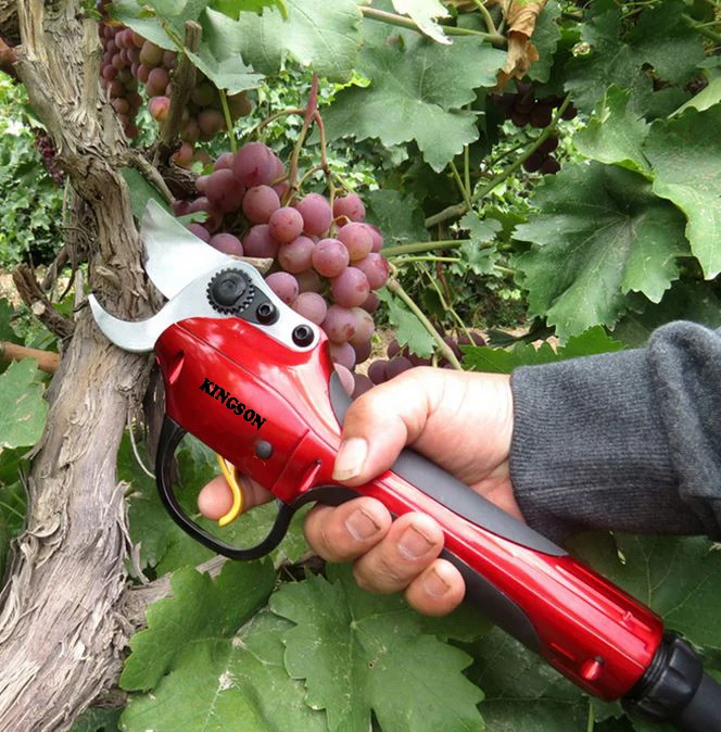 Kingson Battery Cordless Small Pruner/grape Pruner/electric Pruning Shears Bypass Pruner Scissor