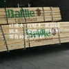 American Chiyangmu, South American cherry wood SUP S1F, various grades of timber logs wholesale