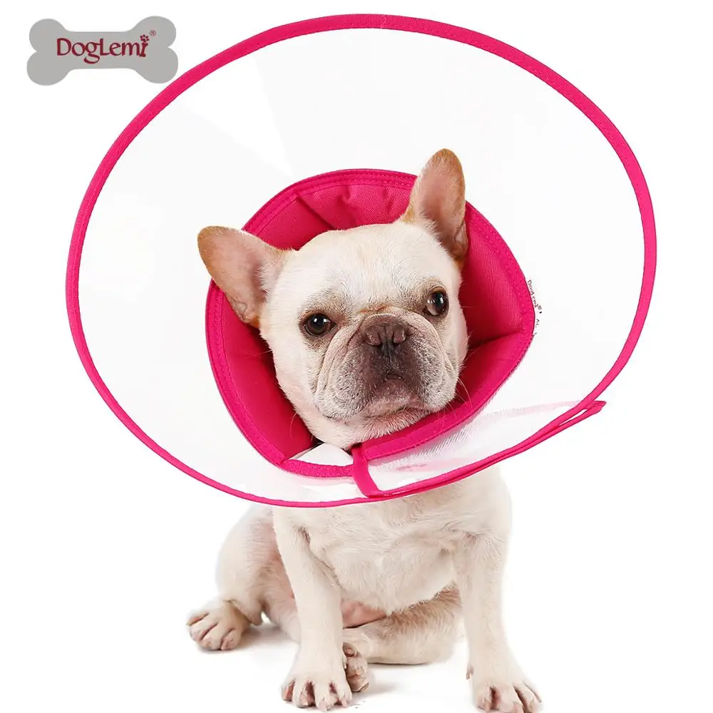 

Recovery Dog Cone Cat Cone Elizabeth Pet Dog e Collar