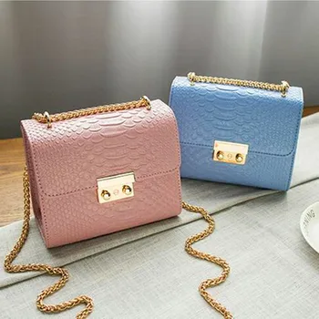 small bag with chain