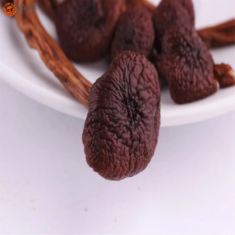 
High Performance Dried Agrocybe Cylindracea 