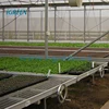 Greenhouse aluminum alloy rolling bench