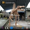 MY Dino-J04-1Jurassic Museum Life Size Dinosaur Skeleton
