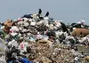 Biological microbe--Solid Waste Management--Reduce Cod Bod