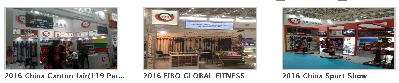 2016 EXPO.png