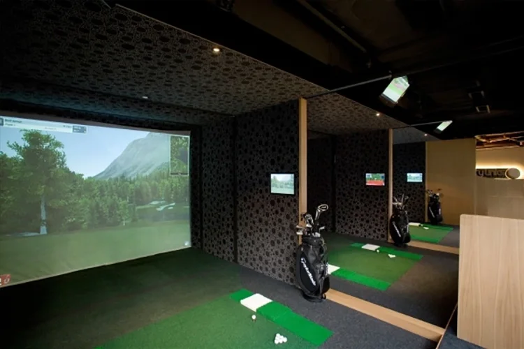 Pgm Indoor Golf Simulator With Infrared Simulator Projection For Golf ...