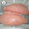 New Arrival Frozen Chum Salmon Fish Fillet Detail