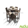 Audu Modern Plastic Leader Dining Table