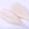 Frozen Squid Tube Price Giant Squid